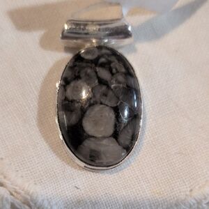 Sterling Silver Colus Fossil Stone Pendant Necklace